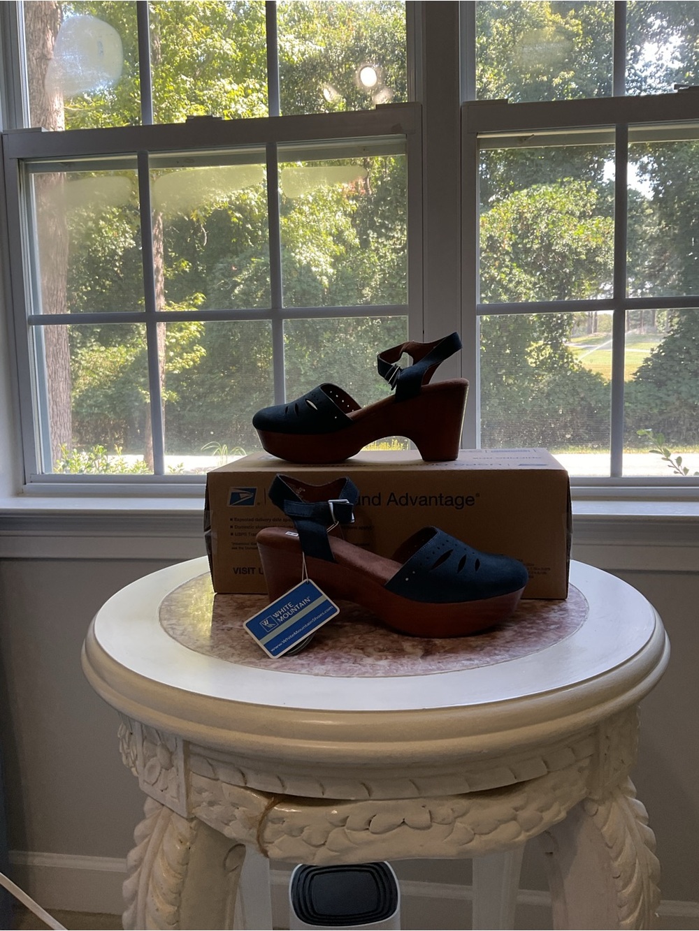 Women’s Blue Suede Platform Mary Jane Sandals